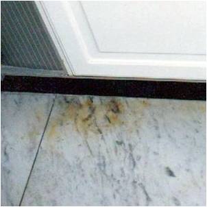 Marble Stain Removal Methods Will Differ Depending On The Stain Type